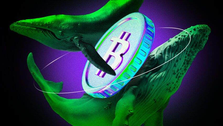 Bitcoin Balinası Hyperliquid’de 1,25 Milyar Dolar’lık Long Pozisyon Aldı